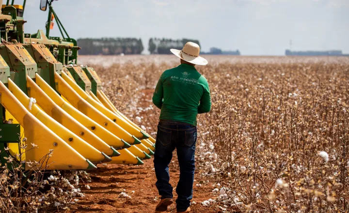 Apesar da economia instável, Agronegócio tem desempenho excepcional em 2023